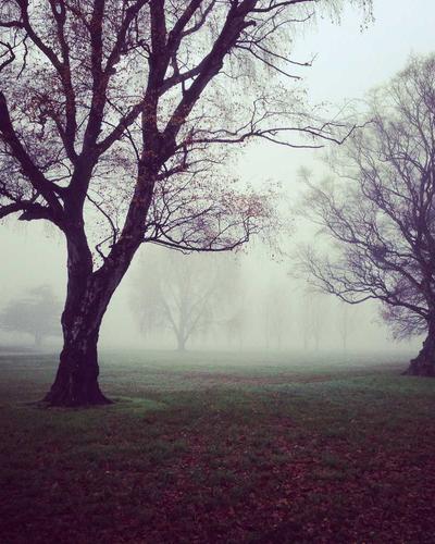 Eaque exercitationem est quia non consequatur.